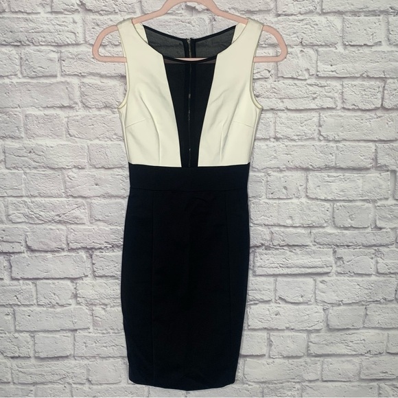 NWT Flavio Castellani Ivory And Black Elegant Bodycon Dress - Picture 4 of 16